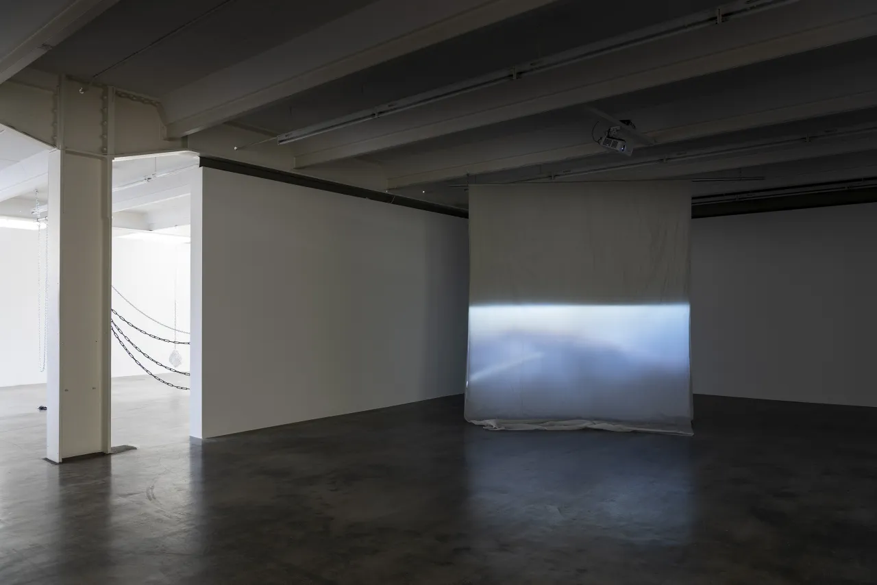 Installation View …into deliquescence, 2021, Video, loop, Sound: Tom Mills, Edition: 3 + 2 AP